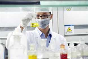 新高考“3+1+2”模式下，選定物理或歷史后，剩余兩科如何科學抉擇？—— 一份全面的信息咨詢服務指南